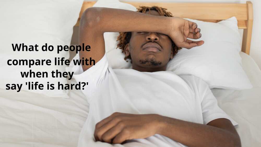 50+ funny midnight thoughts that don't make sense in the morning 50+ funny midnight thoughts that don't make sense in the morning