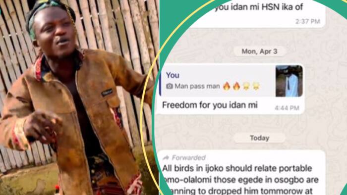 Portable cries out over threat to terminate him in Osogbo by some cultist, leaks WhatsApp chat