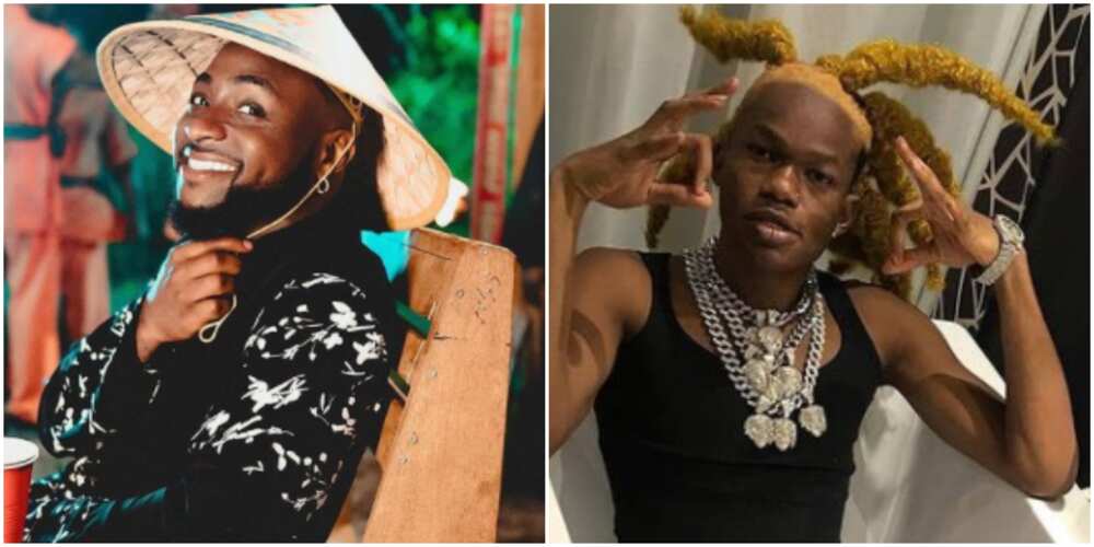 I killed Goliath: Davido finally replies US based rapper who accused him of copying his slang