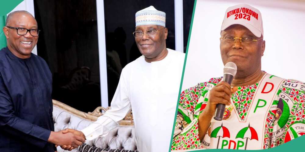 Atiku Abubakar, the former vice president, and Peter Obi of the Labour Party, who recently met together at the former's residence, have been urged to ensure that their permutations favoured Nigeria.