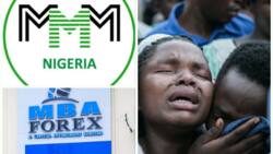 MMM, MBA biggest ponzi scheme as Nigerians lose over N911b in 23 years, SEC vows to fight back