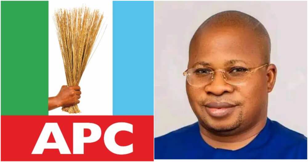 March 18 election, David Jimkuta, APC Taraba South Senatorial District, the Supreme Court