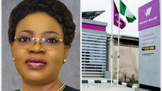 Meet Oluwayemisi Olorunshola, Wema Bank's new chairman who conquered 2 worlds, boasts impressive CV