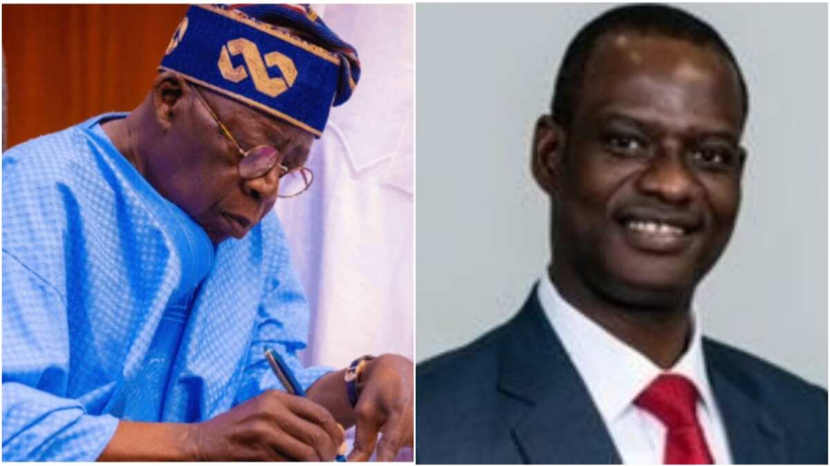 Intrigues as President Tinubu's new appointee announces resignation