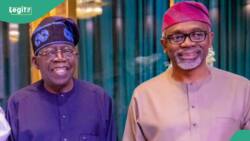 Gbajabiamila shares 1 of Tinubu's greatest strengths behind his rise to presidency