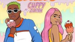 DJ Cuppy – Gelato ft. Zlatan Ibile: a hit or a miss?