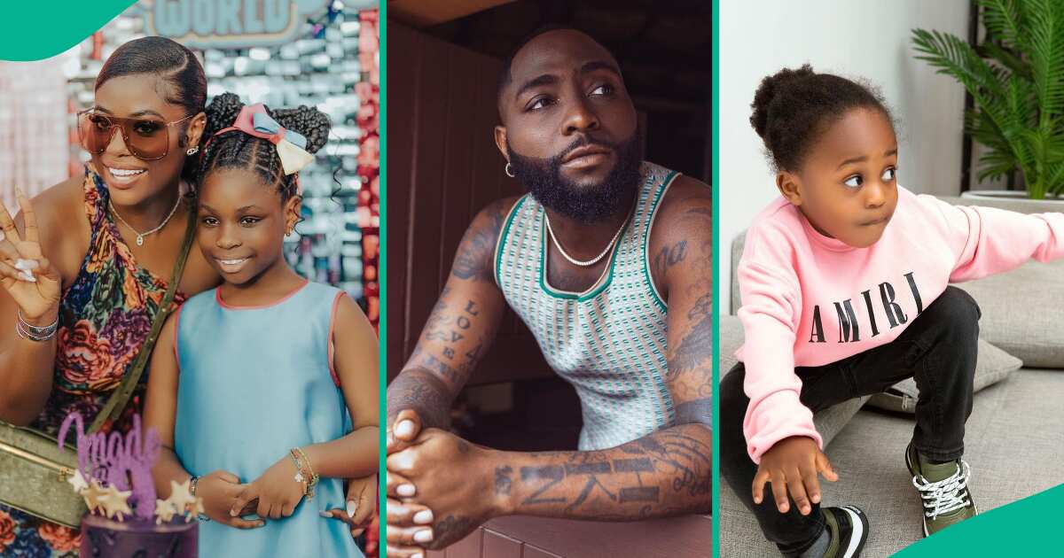 Details about Sophia Momodu's explosive counter-affidavit emerge as she list Ifeanyi's death, others as reasons Davido should be denied custody