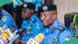 Kano: Matashin dan kasuwa ya rataye kansa har lahira, an bayyana dalili
