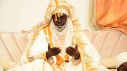 Tension in Northern Nigeria as emir gives herdsmen 30-day ultimatum to vacate forests