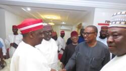 List of 13 northern states where Peter Obi is more popular than Kwankwaso