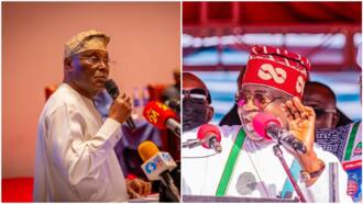 Ba haka ake ba: Atiku ya ankarar da Tinubu kan yadda ake cire tallafin fetur, ya caccaki tsarinsa
