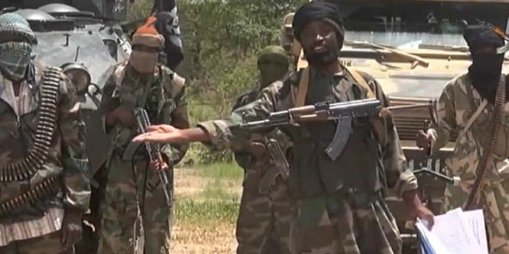 Rikicin shugabanci: ISWAP sun sake kwamandojin Shekau, sun gana da wadanda suka yi mabaya'a