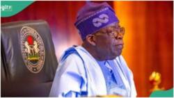 Full list of ministries created by Obasanjo, Jonathan, Buhari, Tinubu since 1999