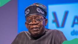 Tinubu finally reveals major ambition for contesting for president, other public offices