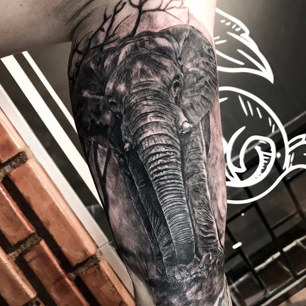 elephant tattoo  Inkhaus Tattoo and Piercing