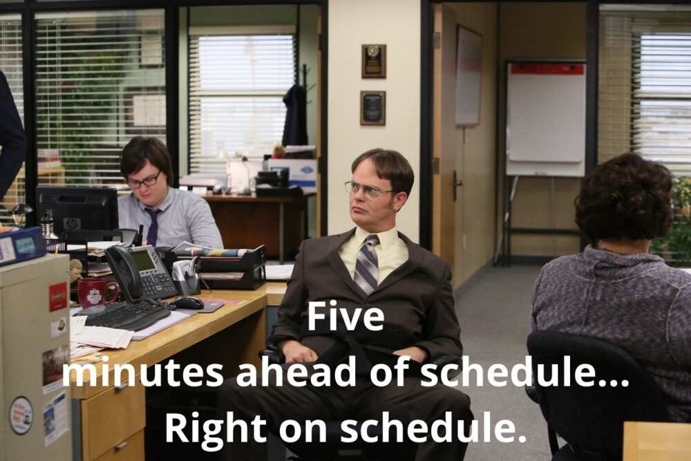 dwight memes