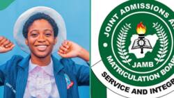 JAMB: Full list of UTME best 5 students from 2013 to 2022 surfaces, their scores included