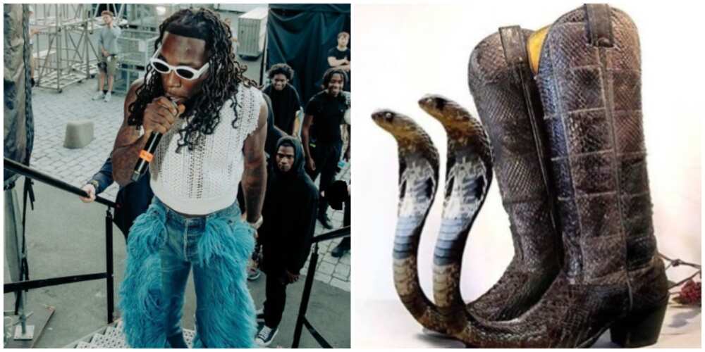 Burna Boy/ snake boots / shoe fashion