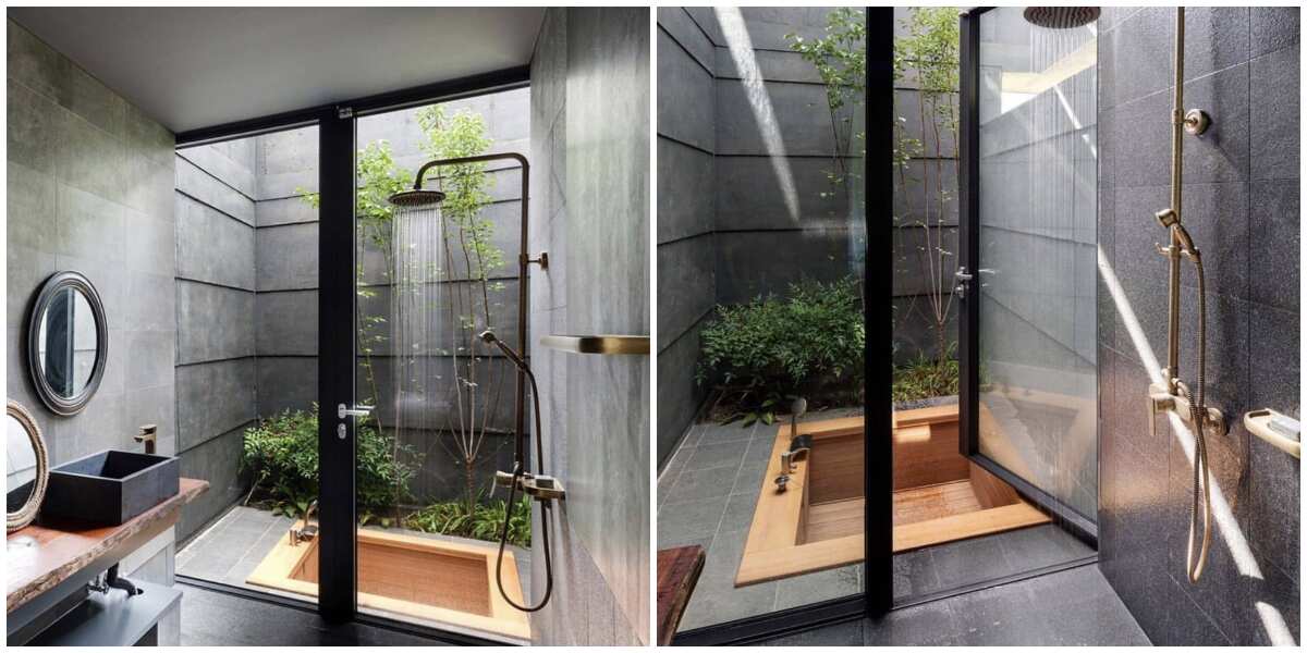 Luxury toilet with tree inside it sparks massive reactions on social media