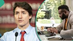 Canada to impose tougher sanctions on employers hiring Nigerians, others for temporary jobs