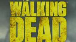 The Walking Dead : pas de saison 12, mais plusieurs spin-offs ?