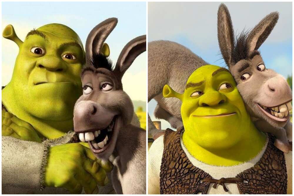 Shrek characters