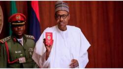 5 Types of Nigerian Passports and How to Differentiate Them by Colour