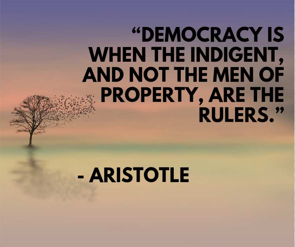 Aristotle education quotes