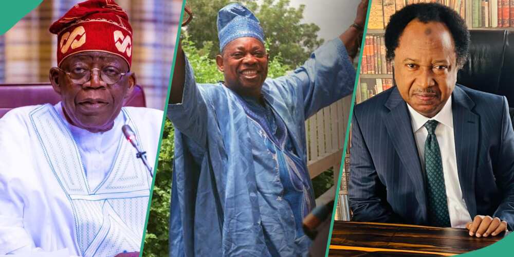 Tinubu releases list of Nigerian heroes of democracy