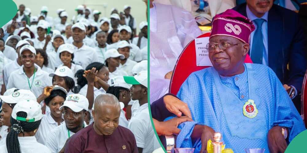 Nigerian News, Latest Nigeria In News. Nigeria News. Your online Nigerian  Newspaper.: APC chieftain to Tinubu: Create jobs — don't share cash to  cushion subsidy removal