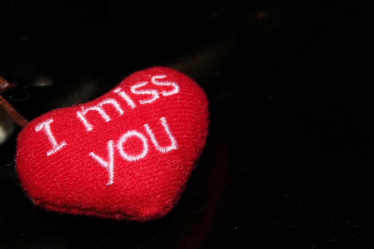 50 missing you quotes and pictures 