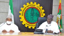 NNPC remits nothing to govt account for two months as oil search, refinery rehabilitation others gulp N656bn