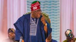 Tinubu reveal details of meeting with traditional rulers, making 1 crucial demand