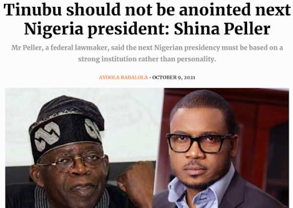 Did Shina Peller say Tinubu should not be appointed Nigeria’s next president?