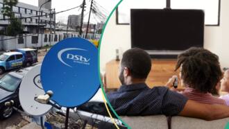 DStv, GOtv customers brace for 3 days of service downtime due to Lagos-Calabar highway construction