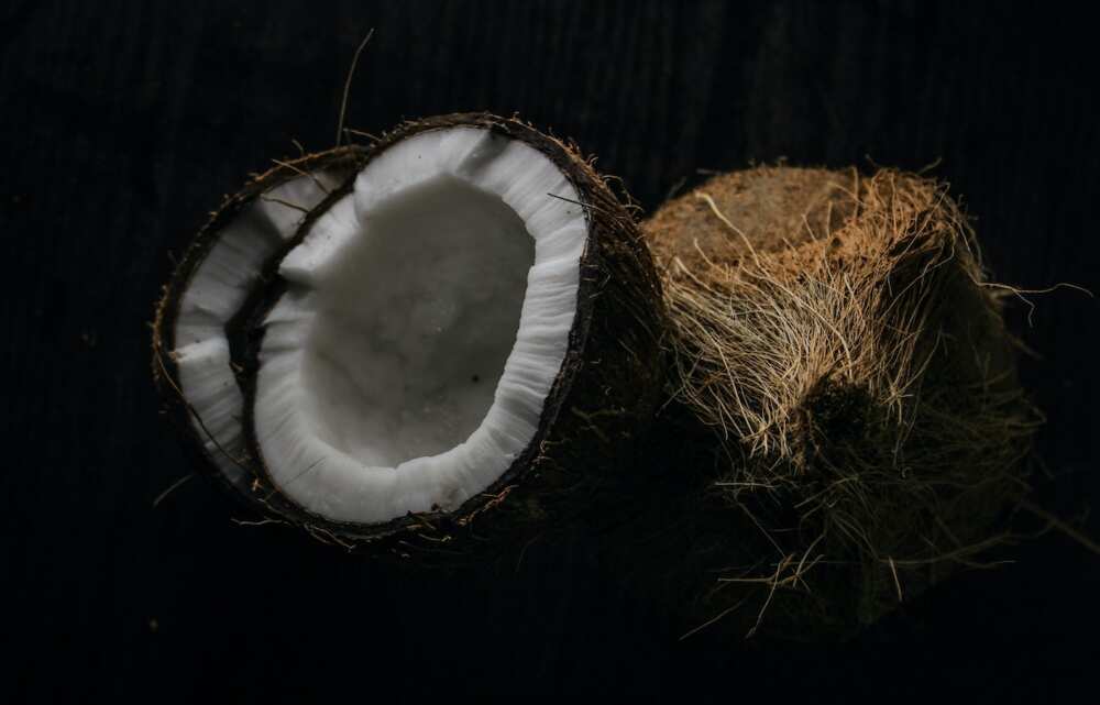 is coconut: a fruit
