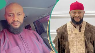 Beryl TV cc7a8b79afb8c9ab “You’re a Thief”: VDM Accuses Ubi Franklin of Duping Man of N10.5m With Davido’s Name, Video Trends Entertainment 