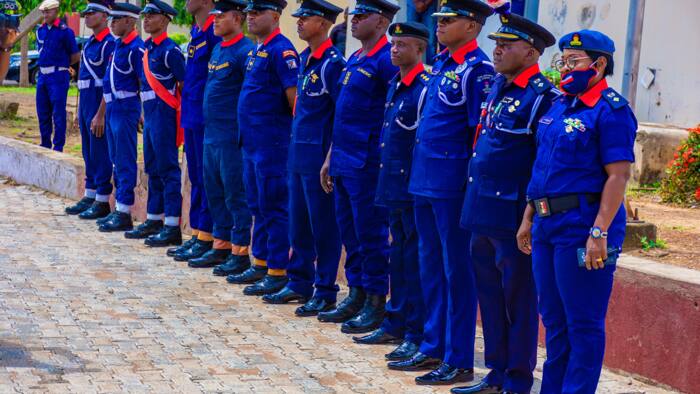 Nigeria Civil Defence: structure, corps salary and rank in 2022