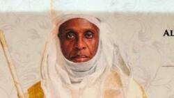 Ameachi: Sarkin Daura Zai Naɗa Ministan Buhari ‘Dan Amanar Daura’
