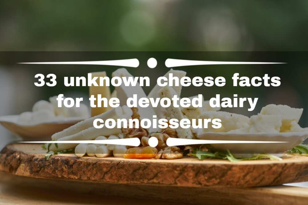 cheese facts