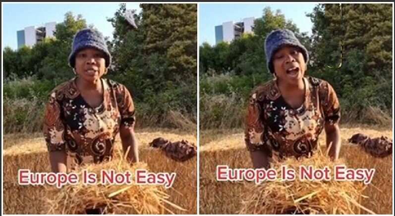 Photos showing a Nigerian woman who works in a farm in Europe.