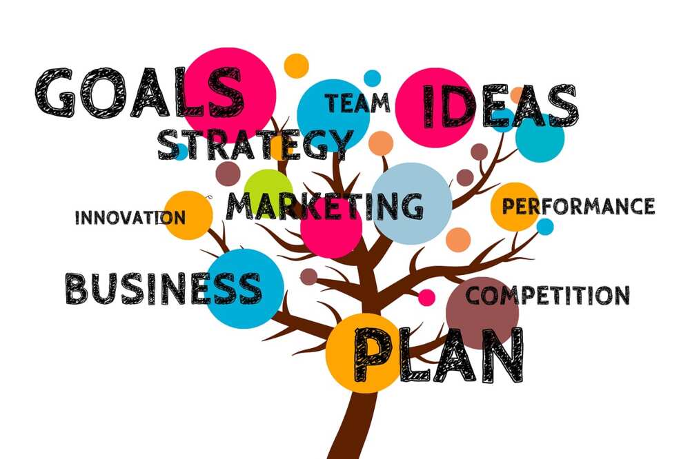 Dynamic growth strategy in people management Dynamic growth strategy in people management