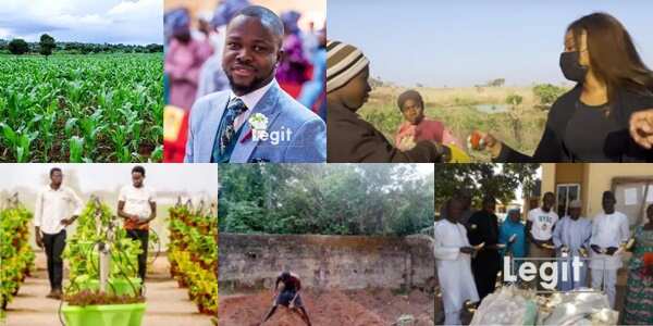 From class to farmland: How agriculture is saving Nigerian youths from massive unemployment crisis (feature)