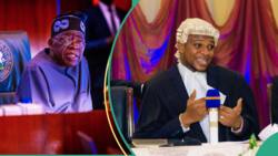 3 Reasons why Nigerians should be worried about Tinubu's ministers