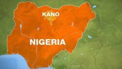 BREAKING: Collation officer collapses at INEC headquarters in Kano