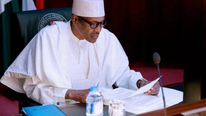 Buhari approves use of drones to monitor all Nigerian borders