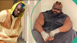 Video as Portable Knocks-out Kizz Daniel's bodyguard in a boxing match: “Which kin playing be this?”