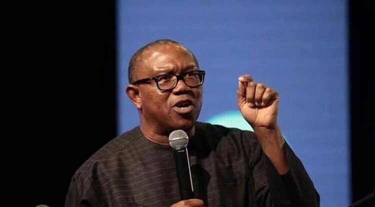 Peter Obi, Anambra state, Adams Oshiomhole, 2023 elections, Labour Party, APC