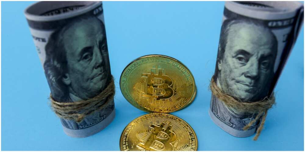 Bitcoin Future Predicted by Analysts Amid Falling Price, Million Dollar Losses