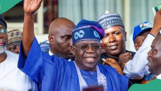 Tinubu returns to Nigeria from 78th UN General Assembly in New York